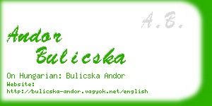 andor bulicska business card